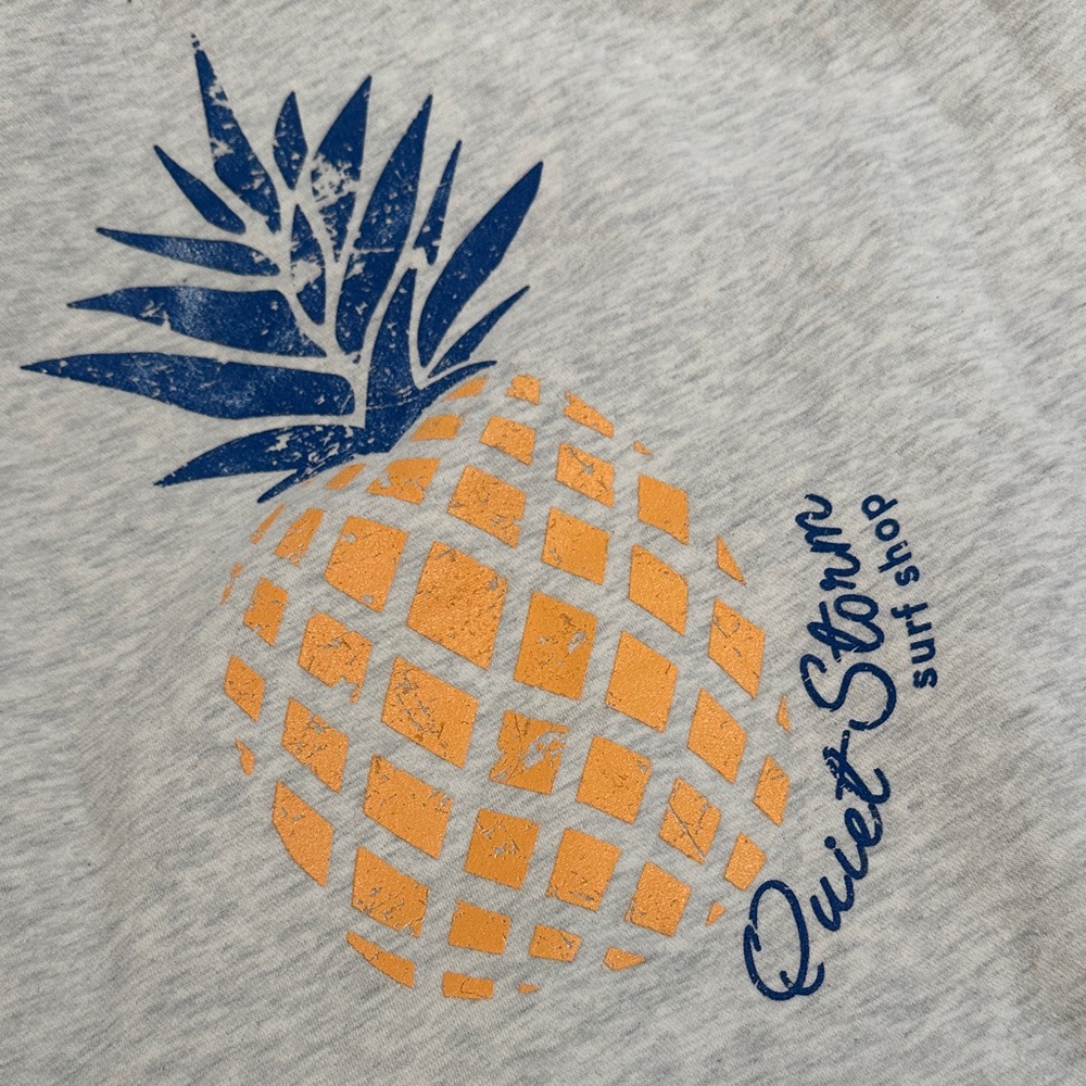 Quietstorm Gray Hoodie with Pineapple π - Picture 3 of 5